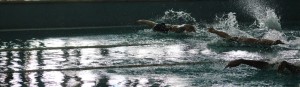 IMG_6501